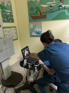 Ultrasound Training LFHC 2024